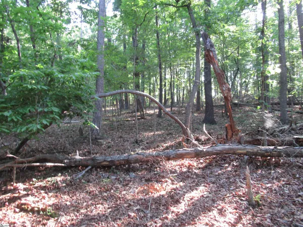 $70,000 | 0 Murphy Road, Unit 3 2 ACRES S SIDE MURPHY RD, Sunset, SC 29685