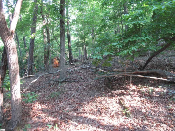 $70,000 | 0 Murphy Road, Unit 3 2 ACRES S SIDE MURPHY RD, Sunset, SC 29685