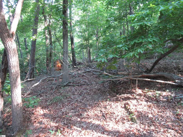 $70,000 | 0 Murphy Road, Unit 3 2 ACRES S SIDE MURPHY RD, Sunset, SC 29685