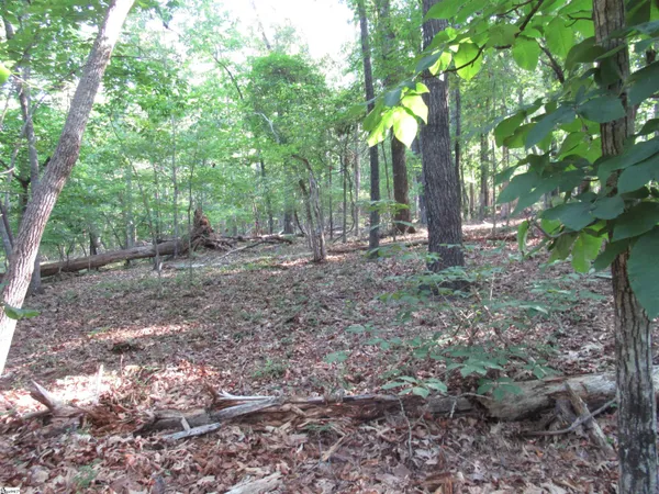 $70,000 | 0 Murphy Road, Unit 3 2 ACRES S SIDE MURPHY RD, Sunset, SC 29685