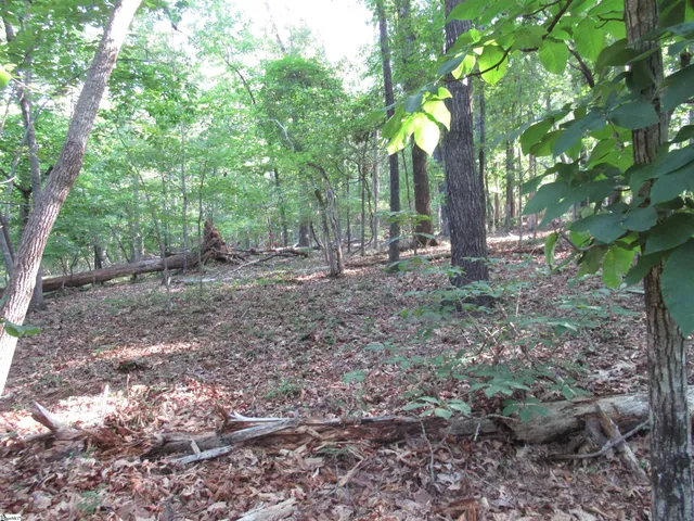 $70,000 | 0 Murphy Road, Unit 3 2 ACRES S SIDE MURPHY RD, Sunset, SC 29685