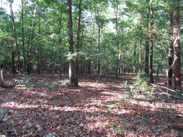 $70,000 | 0 Murphy Road, Unit 3 2 ACRES S SIDE MURPHY RD, Sunset, SC 29685