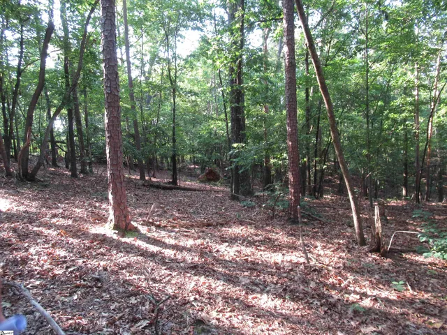 $70,000 | 0 Murphy Road, Unit 3 2 ACRES S SIDE MURPHY RD, Sunset, SC 29685