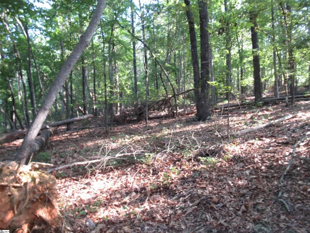 $70,000 | 0 Murphy Road, Unit 3 2 ACRES S SIDE MURPHY RD, Sunset, SC 29685