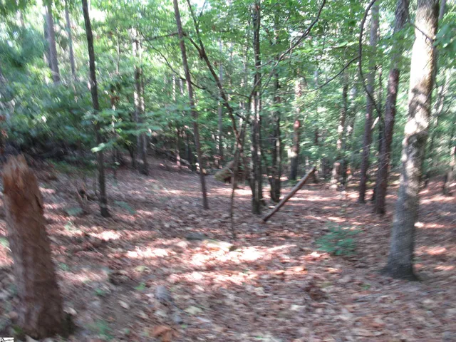 $70,000 | 0 Murphy Road, Unit 3 2 ACRES S SIDE MURPHY RD, Sunset, SC 29685