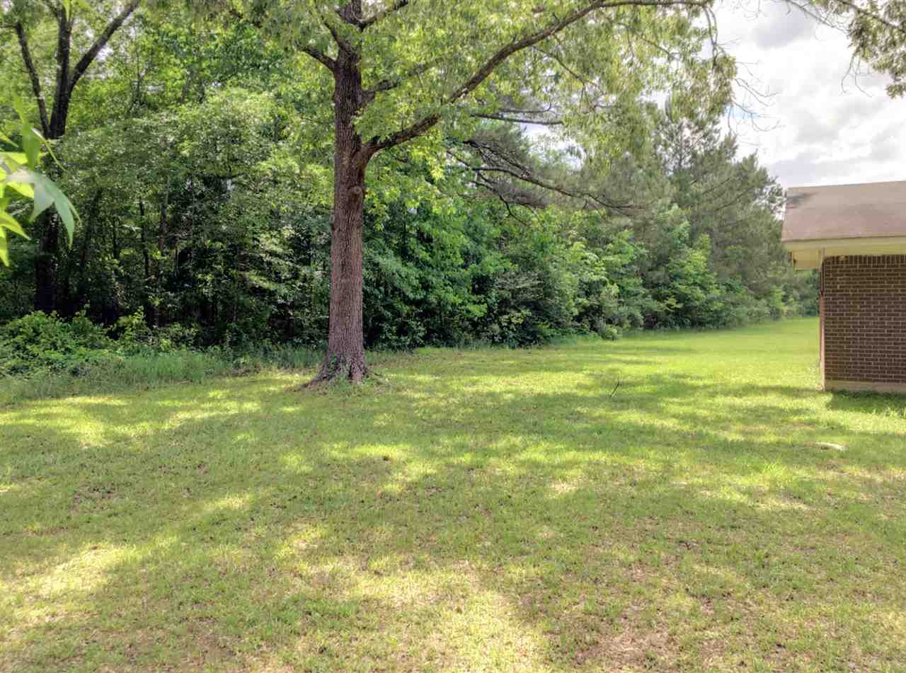 1729 Swamp Road Carthage, MS 39051 - Photo 5 of 13 Photo 5