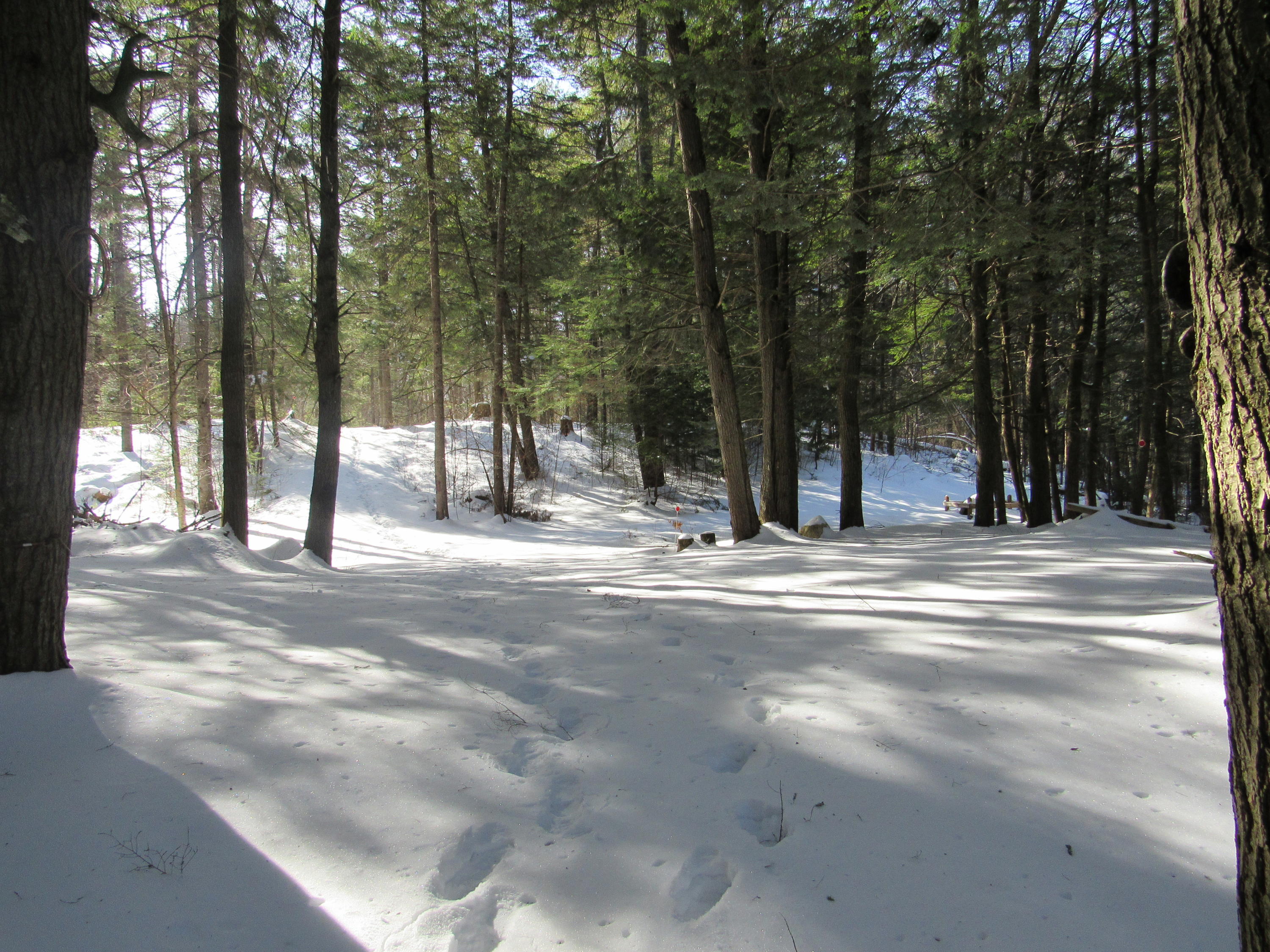 41 Fredericks Corner Road Norridgewock, ME 04957 - Photo 53 of 58 IMG_3682