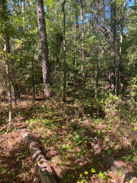 0 Northeast Maddox Chapel Road Northeast Dalton, GA 30721 - Photo 1 of 4 Main View