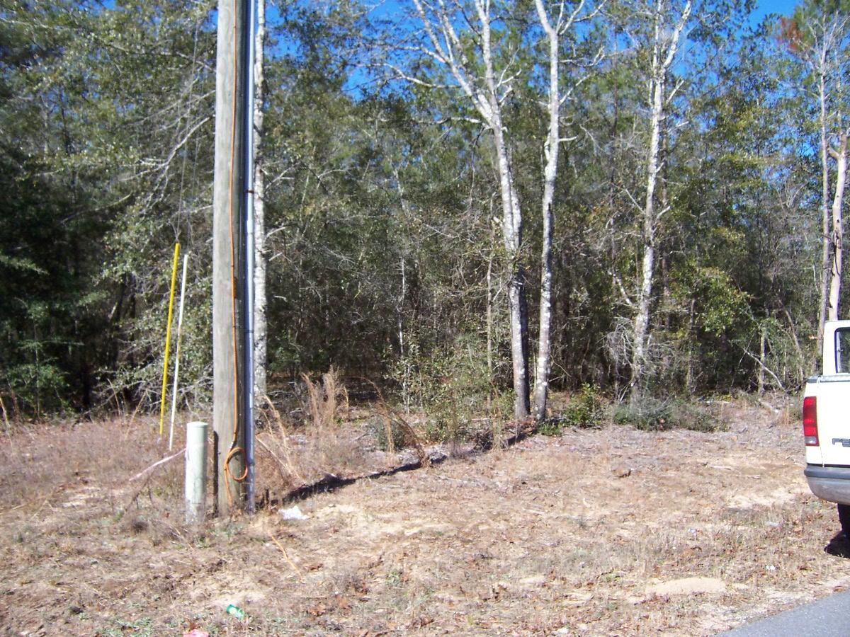 Lot 50 Howlin Road DeFuniak Springs, FL 32433 - Photo 3 of 5 100_7174