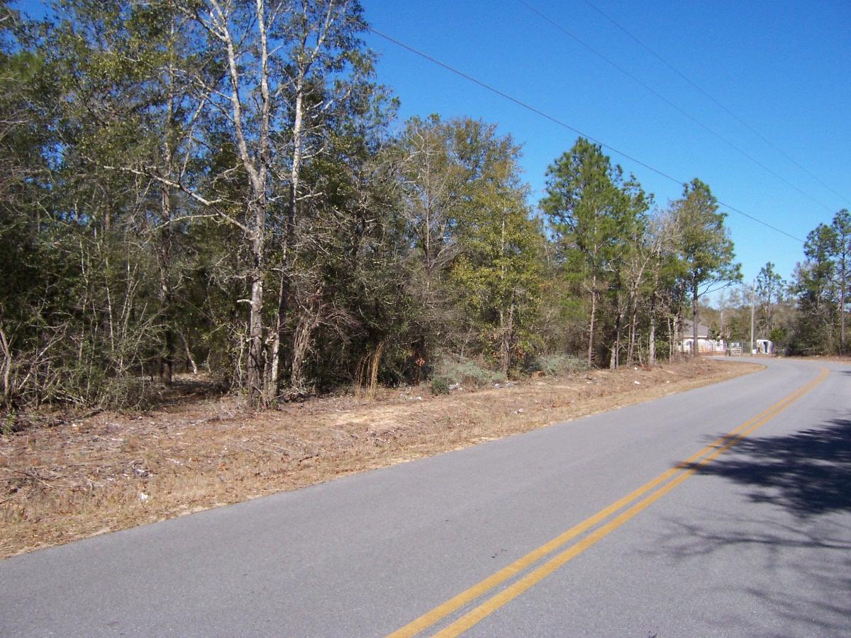 Lot 50 Howlin Road DeFuniak Springs, FL 32433 - Photo 4 of 5 100_7175