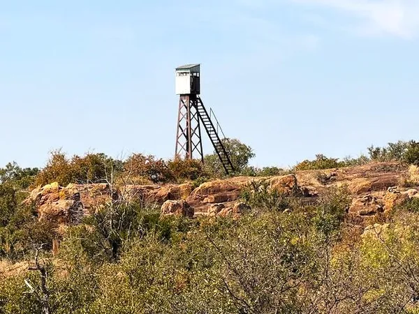 a view of a field
