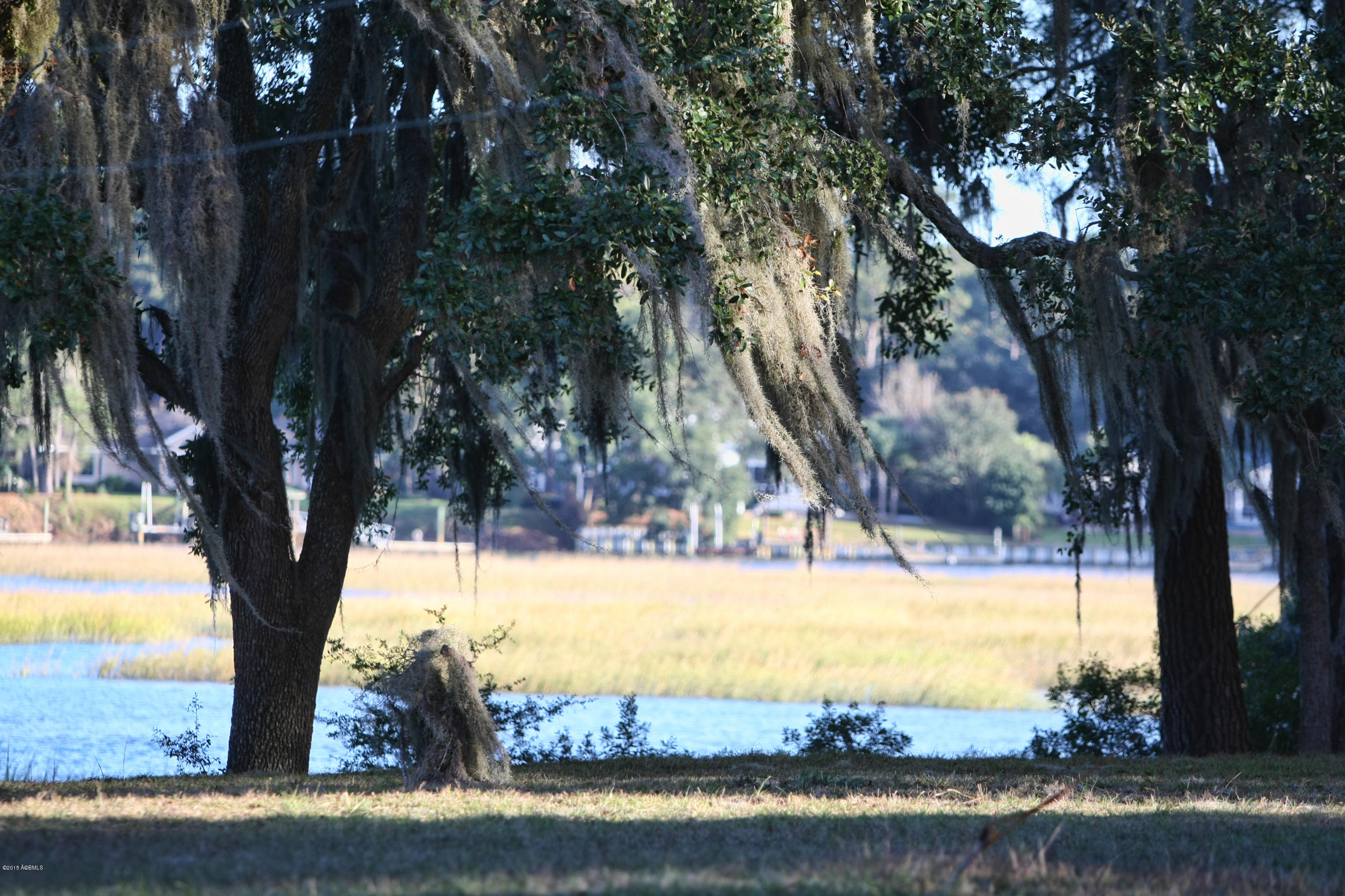 Tbd Salem Farm Road Beaufort, SC 29902 - Photo 15 of 22 Salem Farms 015