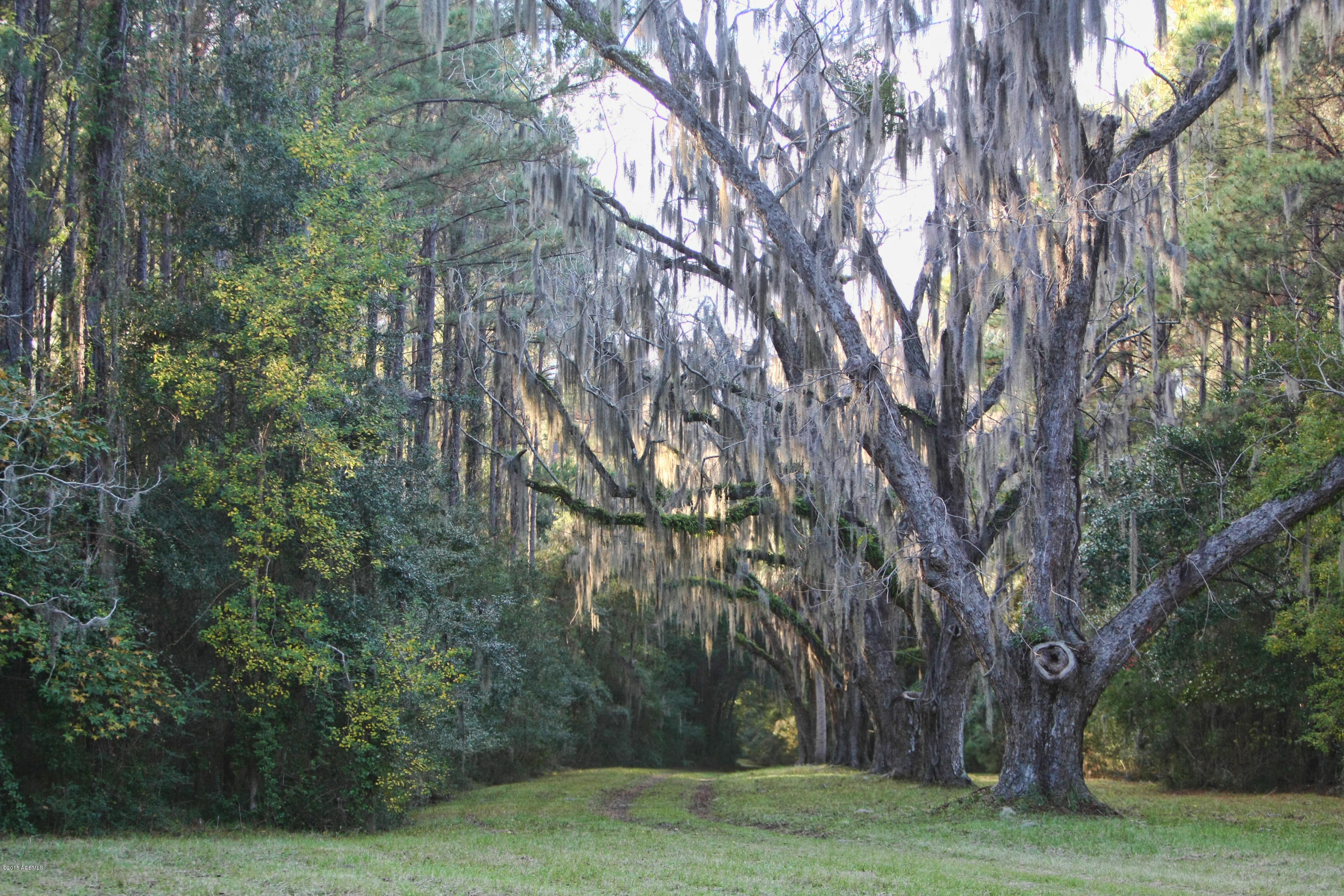 Tbd Salem Farm Road Beaufort, SC 29902 - Photo 18 of 22 Salem Farms 018