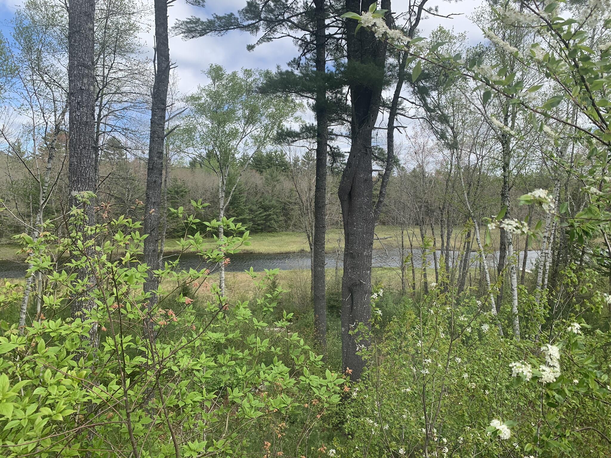10 Town Farm Road Aurora, ME 04408 - Photo 29 of 41 IMG_7045