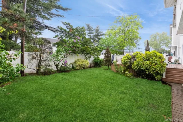 a garden with lots of trees