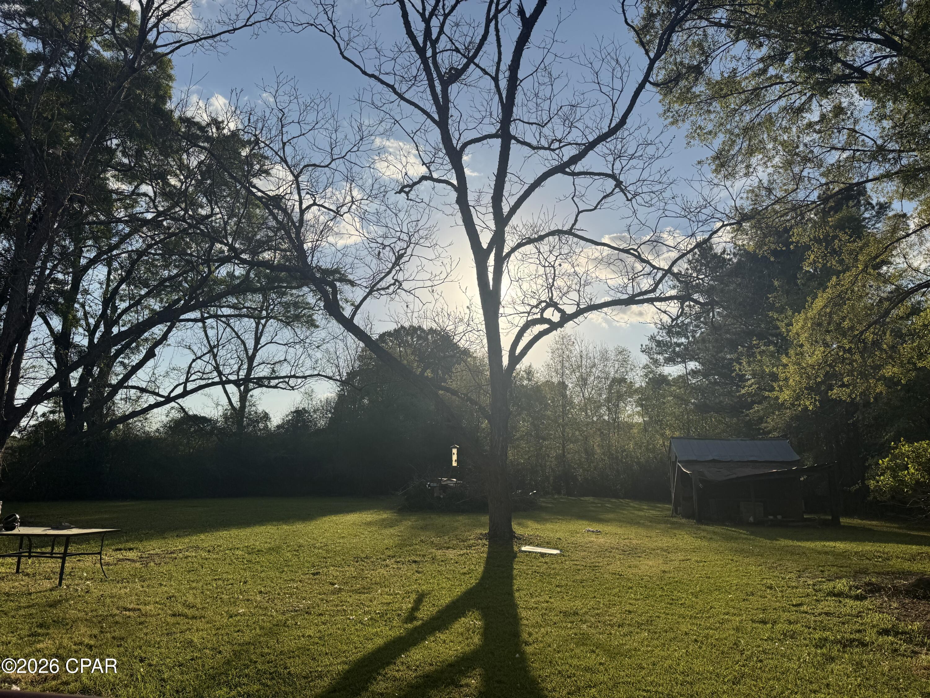 226 Highway 77 Chipley, FL 32428 - Photo 25 of 26