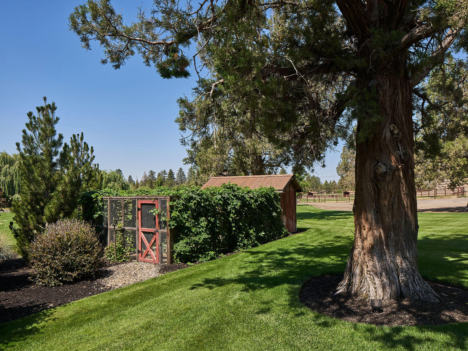 65245 Cline Falls Road Bend, OR 97703 - Photo 30 of 72 ranch in tumalo, 139s