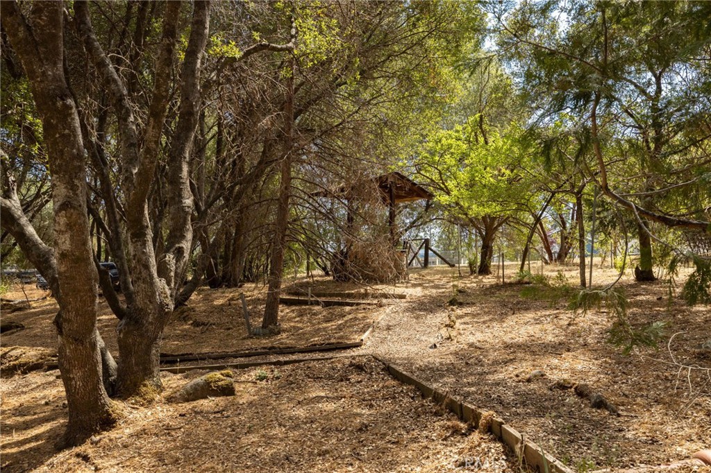32413 Chickasaw Road Coarsegold, CA 93614 - Photo 57 of 67
