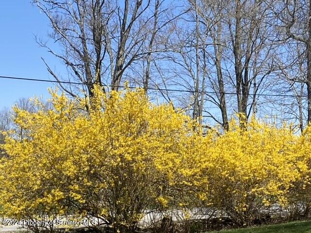 3430 Whengreen Road Nicholson, PA 18446 - Photo 53 of 53 image2