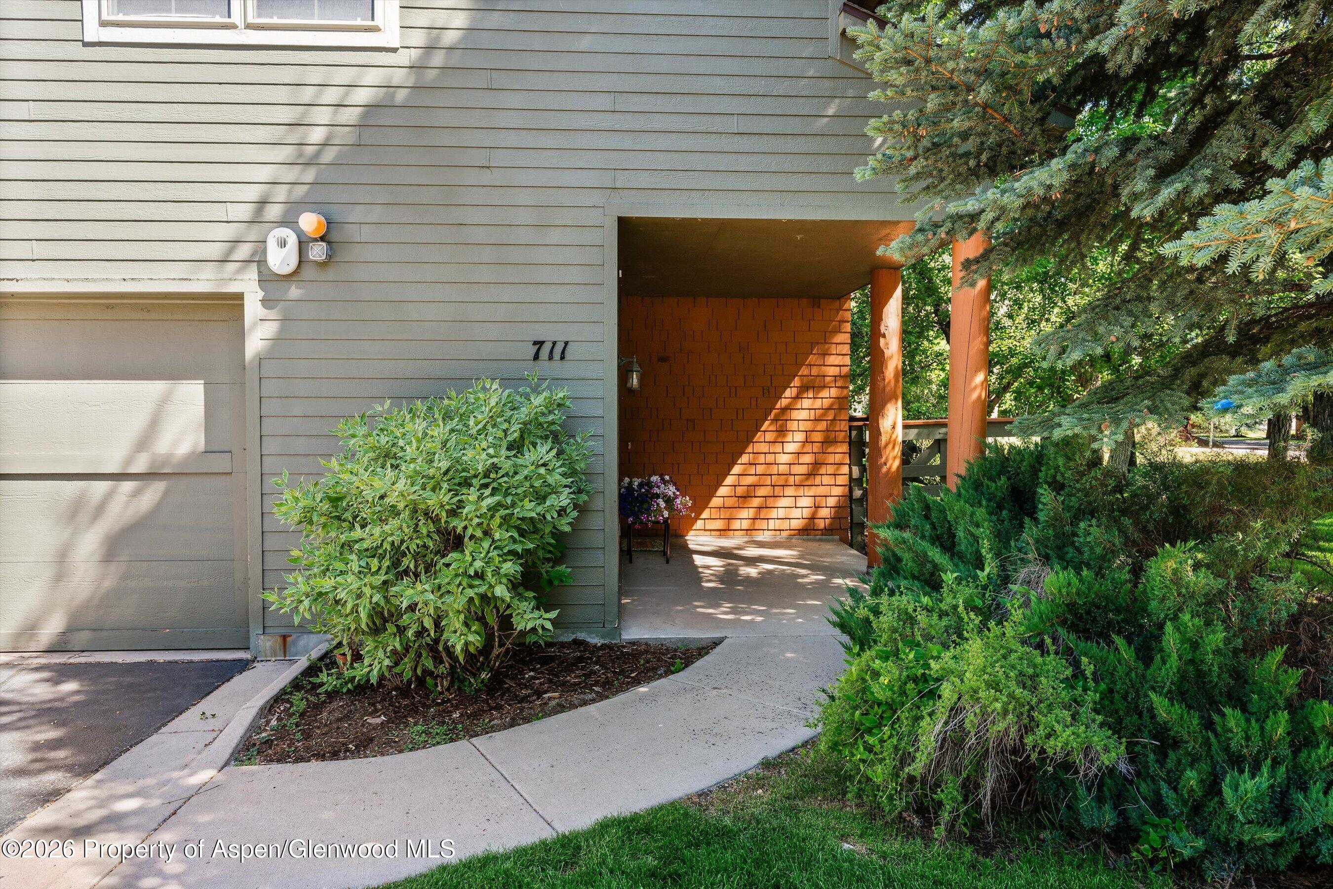 711 Evans Court Basalt, CO 81621 - Photo 3 of 31 04-711EvansCt_26061904