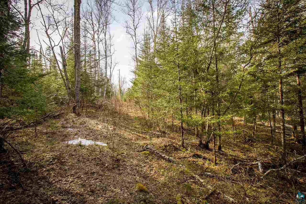 Tbd Tbd Outback Road Ely, MN 55731 - Photo 14 of 15