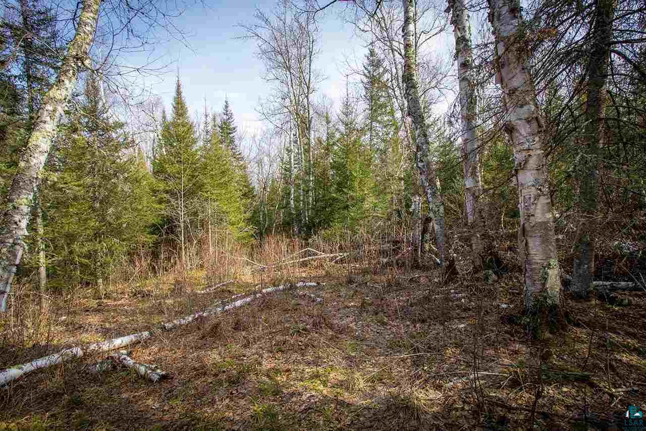 Tbd Tbd Outback Road Ely, MN 55731 - Photo 3 of 15
