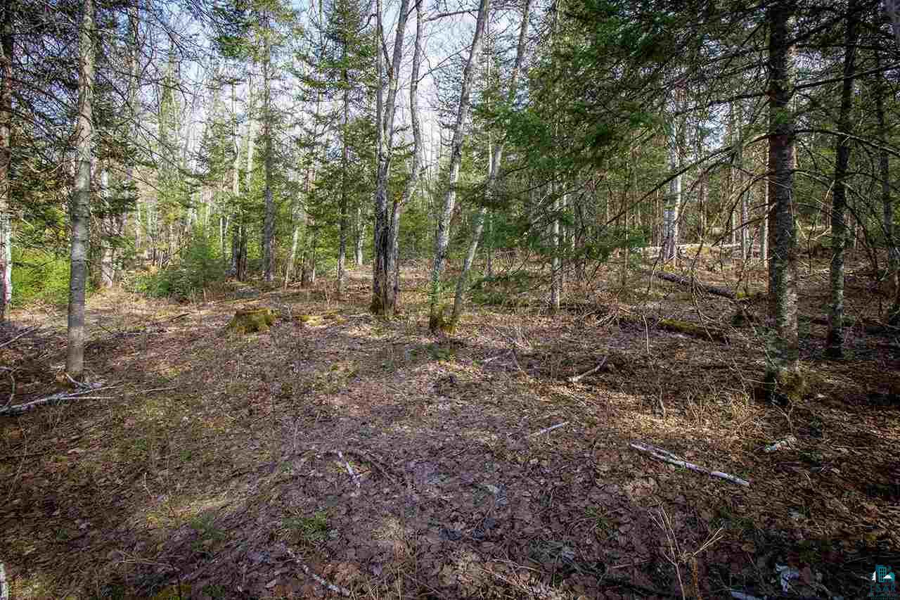 Tbd Tbd Outback Road Ely, MN 55731 - Photo 4 of 15