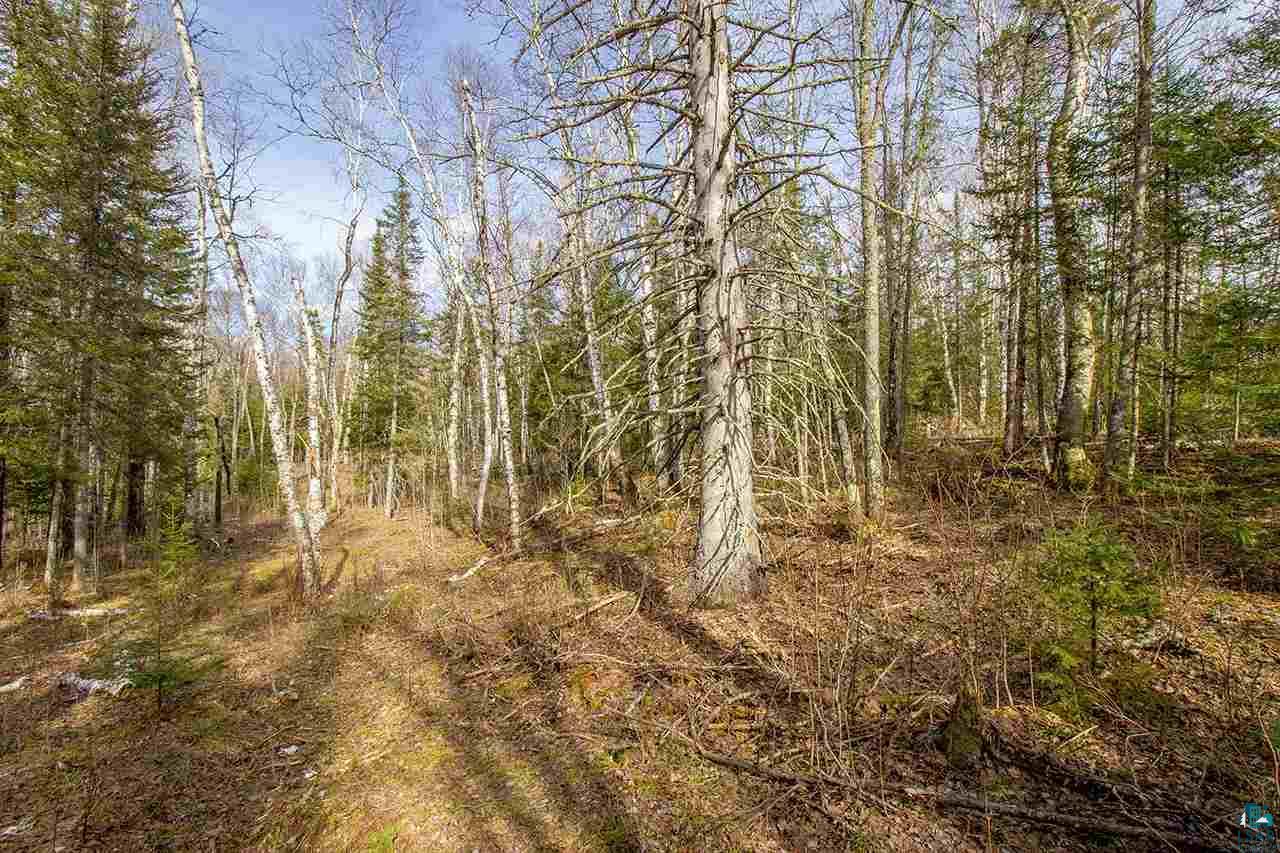 Tbd Tbd Outback Road Ely, MN 55731 - Photo 7 of 15