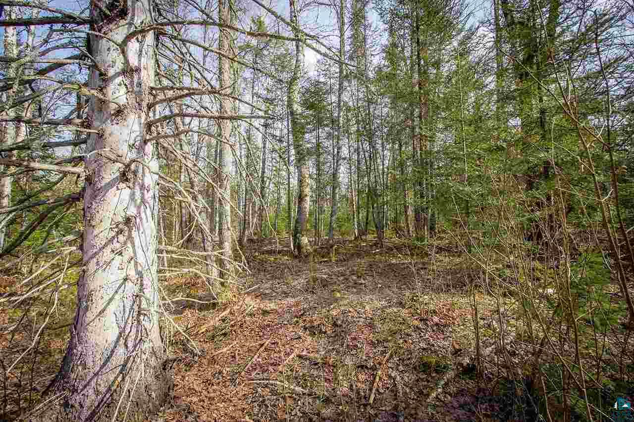 Tbd Tbd Outback Road Ely, MN 55731 - Photo 9 of 15