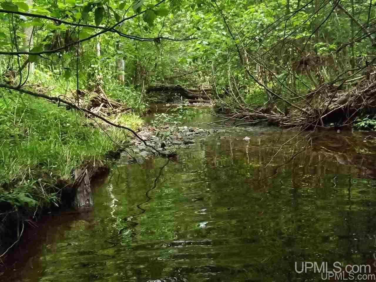 Tbd Ford Farm Road Skanee, MI 49962 - Photo 18 of 27
