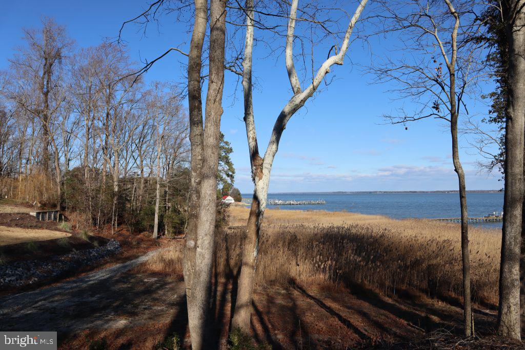 Mt Prospect Road Laneview, VA 22504 - Photo 4 of 10