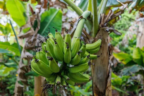 $575,000 | 2661 Kekaa Drive, Unit C103, Lahaina, HI 96761