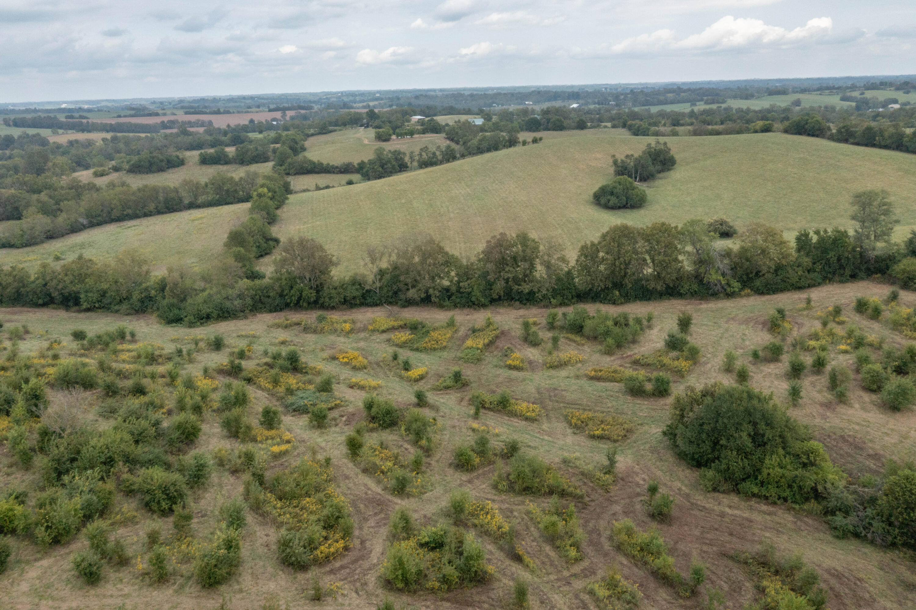 706 Stone Road Paris, KY 40361 - Photo 13 of 18 DJI_0368
