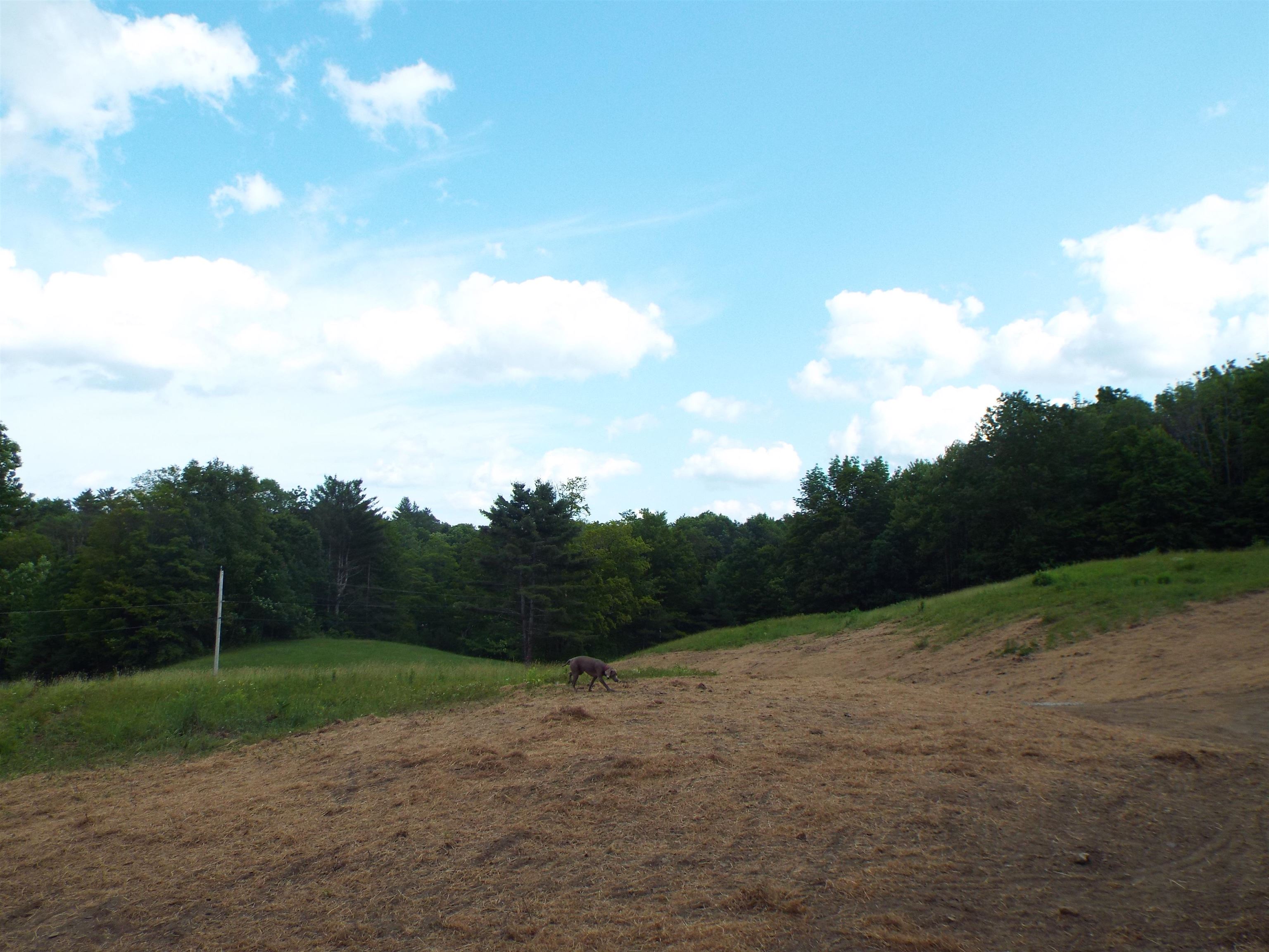 0 Quechee-Hartland Road Hartland, VT 05048 - Photo 22 of 23
