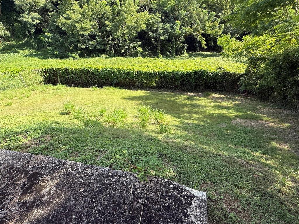 411 Bo Calvache Rincon, PR 00677 - Photo 11 of 14 a view of a garden with a lake