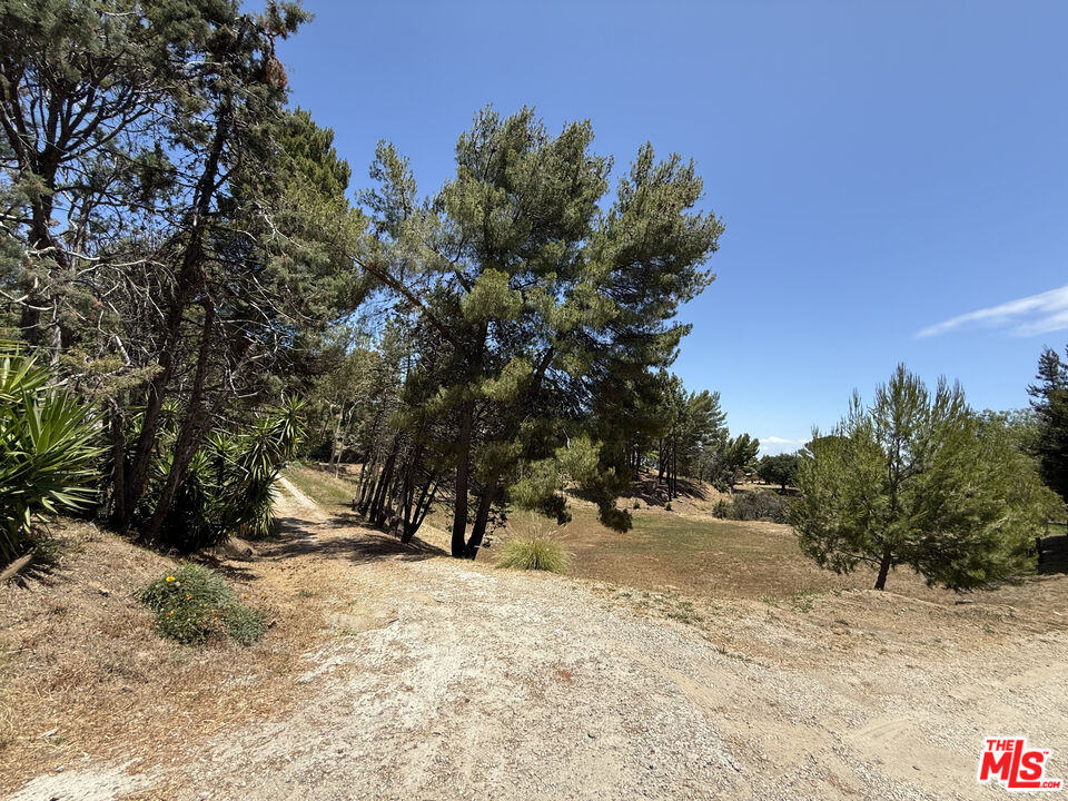 22030 Saddle Peak Road Topanga, CA 90290 - Photo 4 of 4
