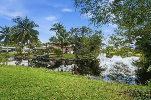 a view of a lake with a tree