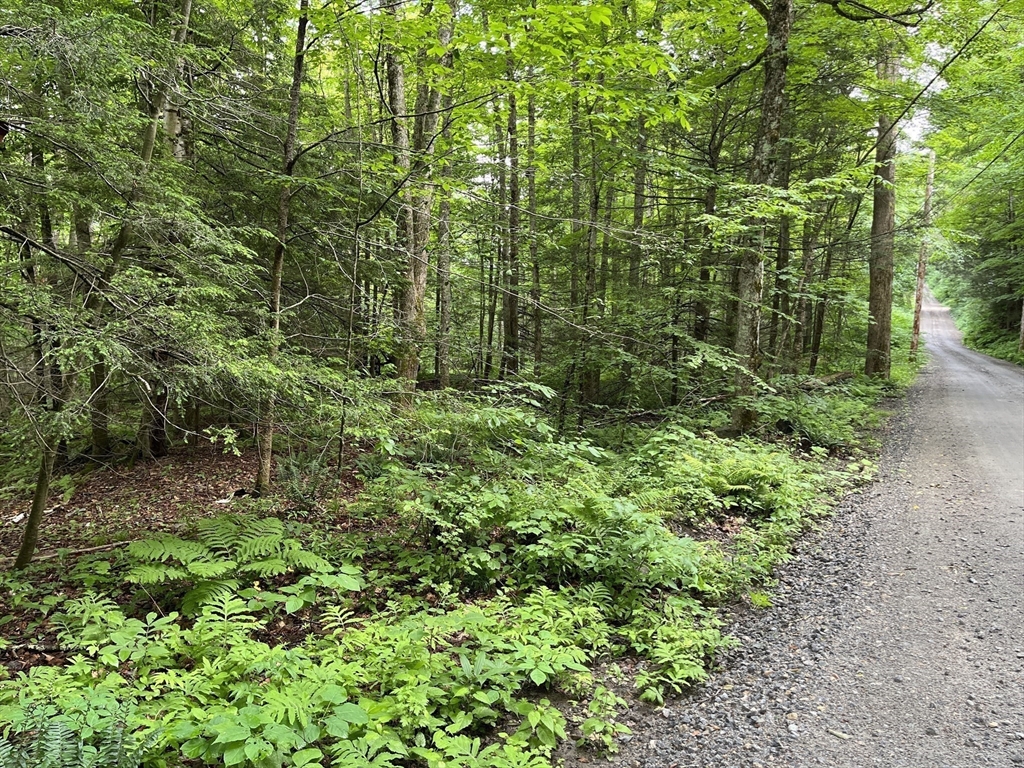 0 Lots 2 & 3 Goss Hill Road Huntington, MA 01050 - Photo 3 of 7