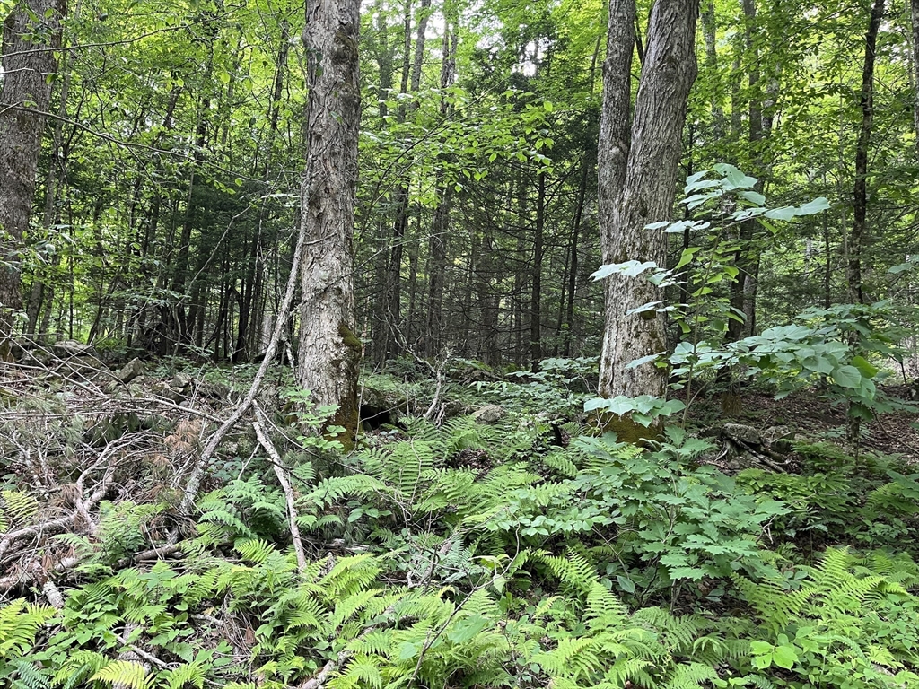 0 Lots 2 & 3 Goss Hill Road Huntington, MA 01050 - Photo 4 of 7