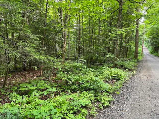 a plant view in yard