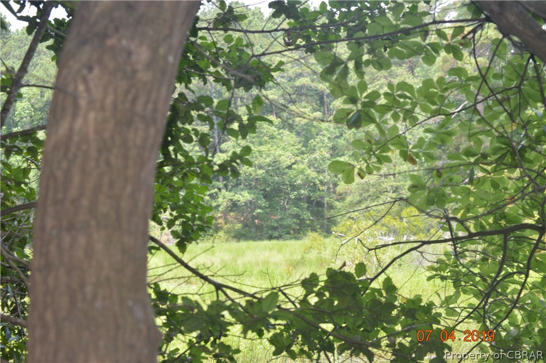 Lot 41 Wilton Creek Road Hartfield, VA 23071 - Photo 3 of 12 Views Out to Wilton Creek and Marshes Filled with Wildlife!