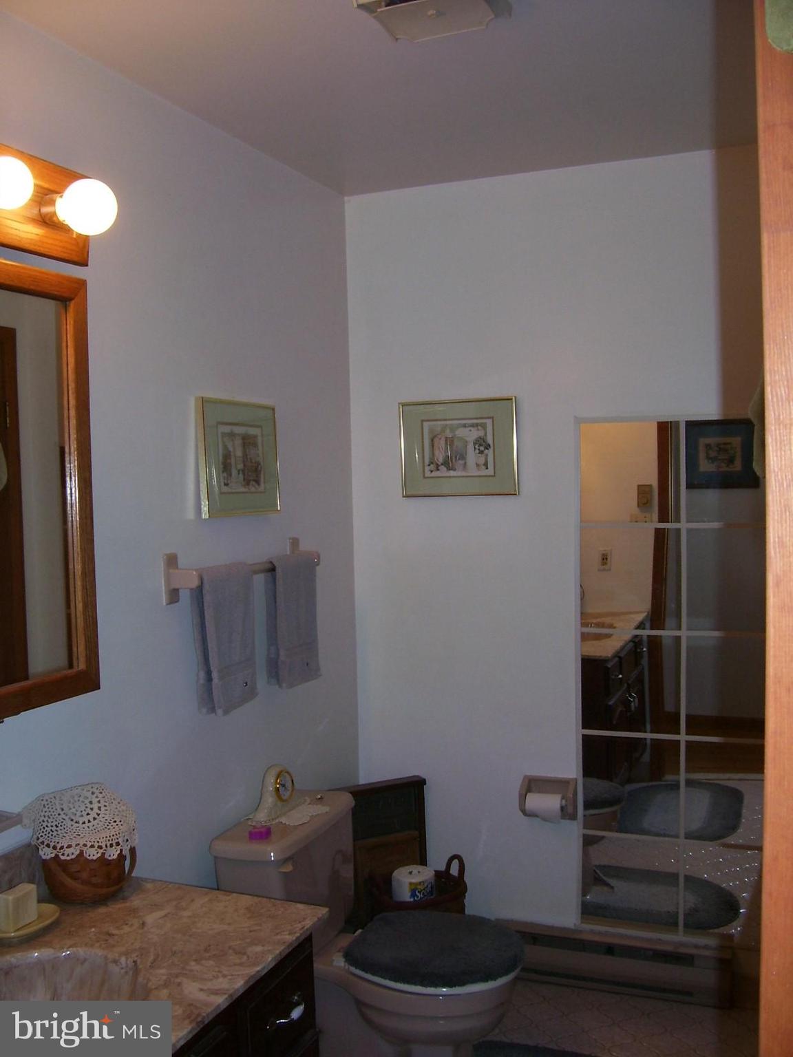 332 Hunters Road Mohnton, PA 19540 - Photo 16 of 16 a bathroom with a sink and a mirror
