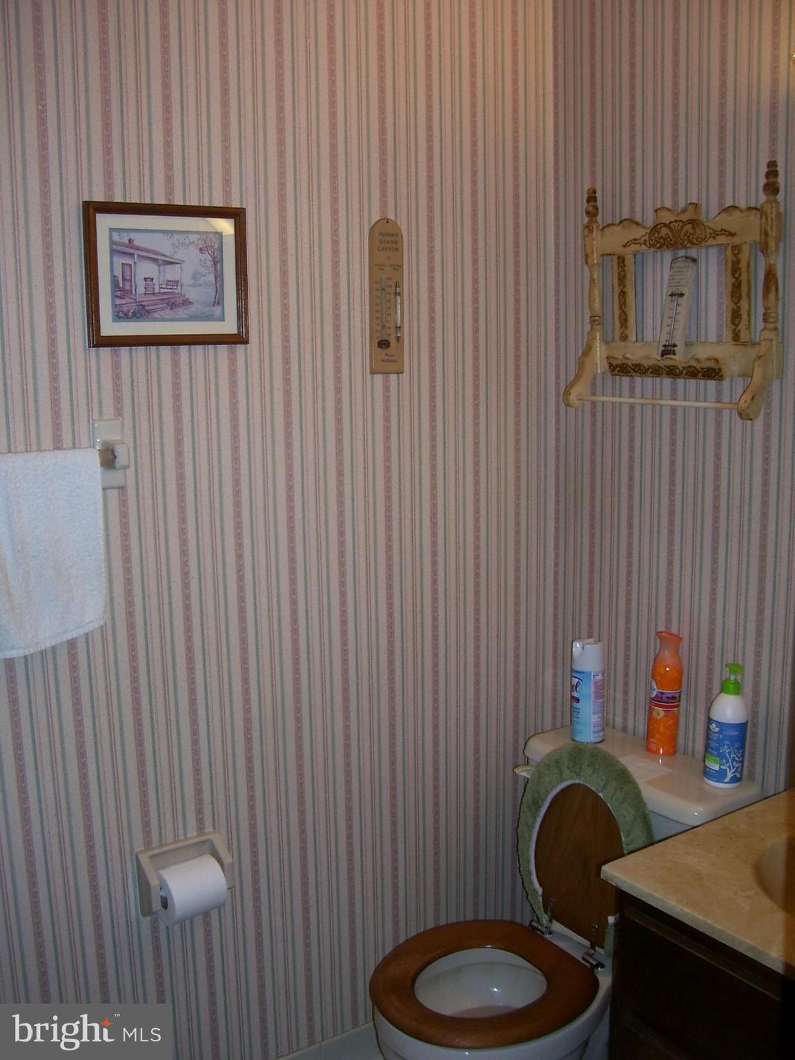 332 Hunters Road Mohnton, PA 19540 - Photo 10 of 16 a bathroom with a toilet and a sink