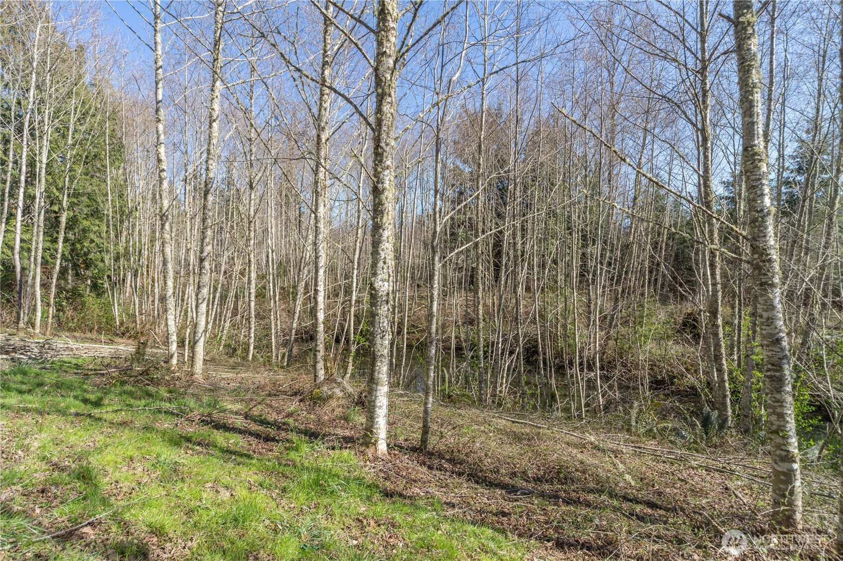 1119 Eaglemount Road Port Townsend, WA 98368 - Photo 18 of 21