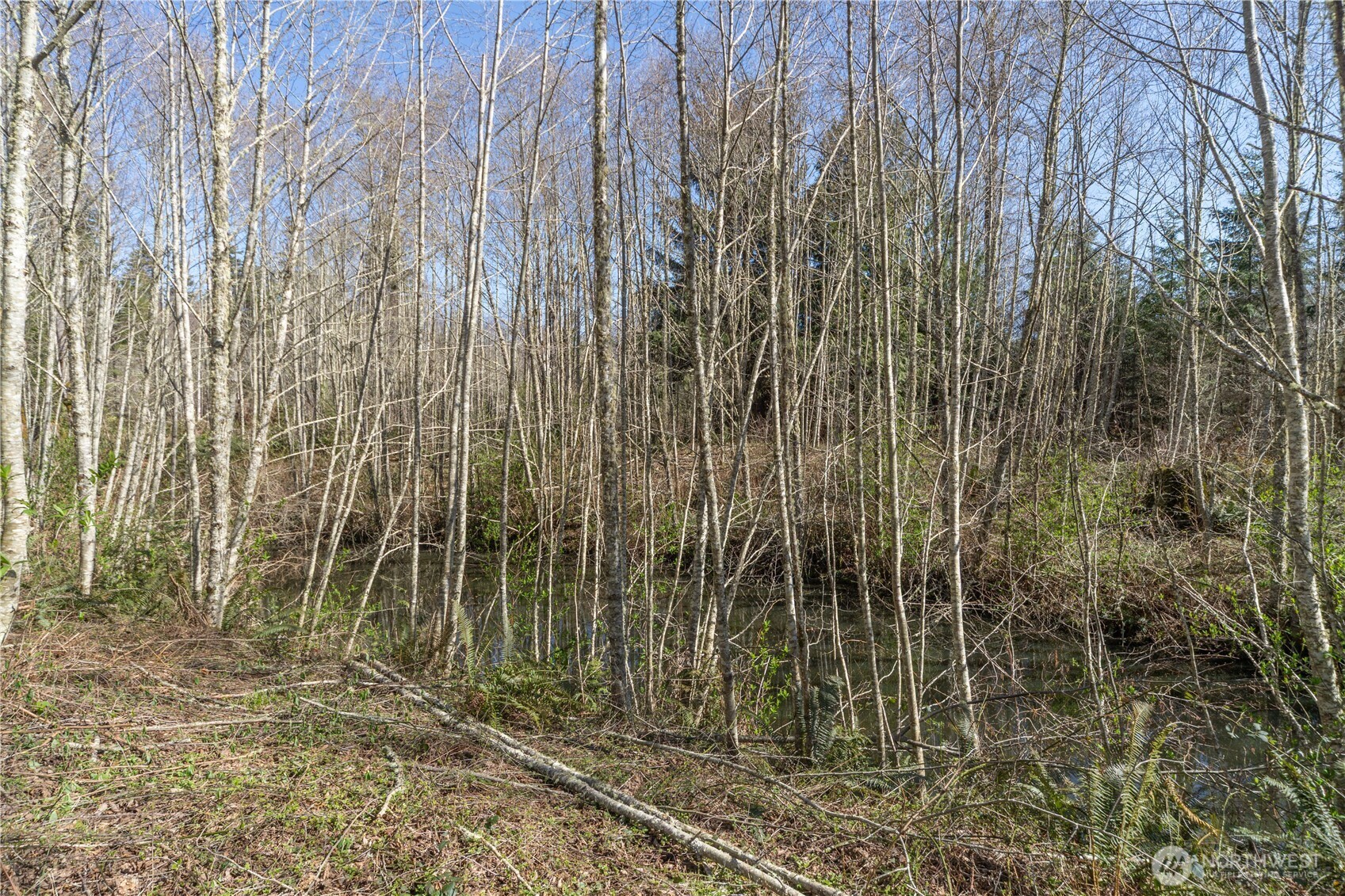 1119 Eaglemount Road Port Townsend, WA 98368 - Photo 20 of 21