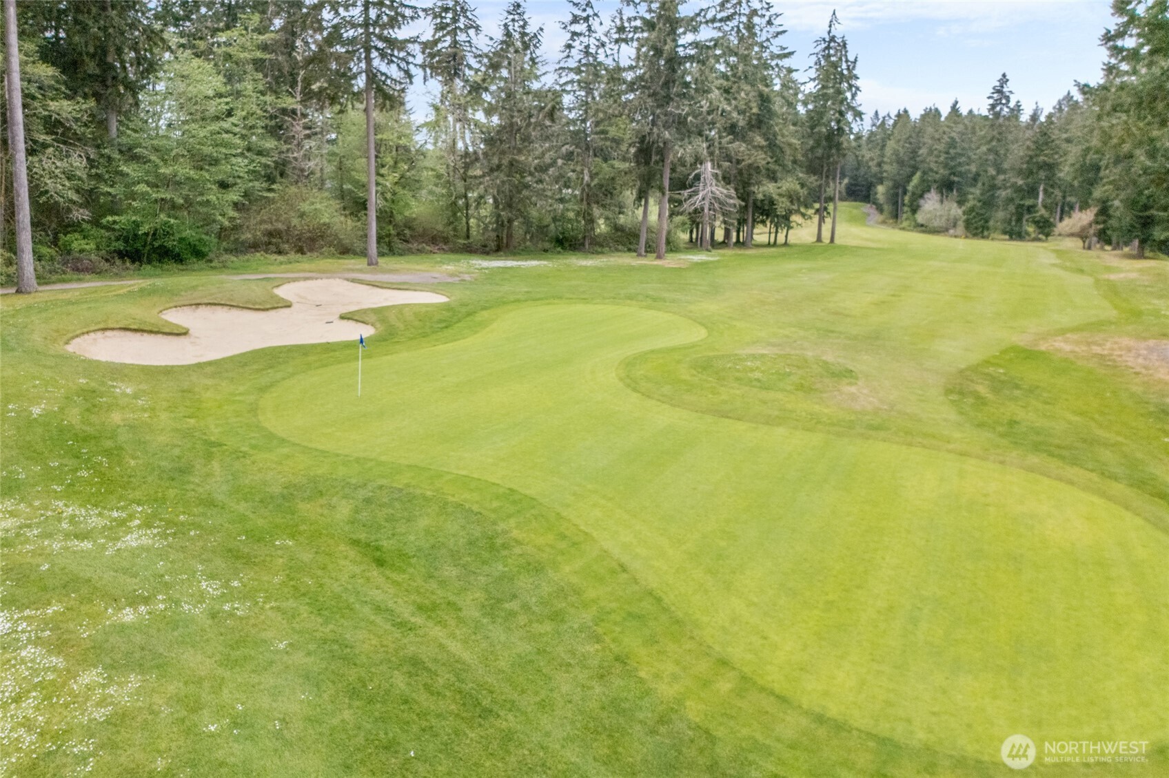 4335 Dudley Drive Northeast Lacey, WA 98516 - Photo 10 of 39 a view of a yard with basketball court