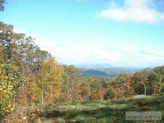 Lot 68 Cloud Nine Boone, NC 28607 - Photo 1 of 1 Gallery Image 1