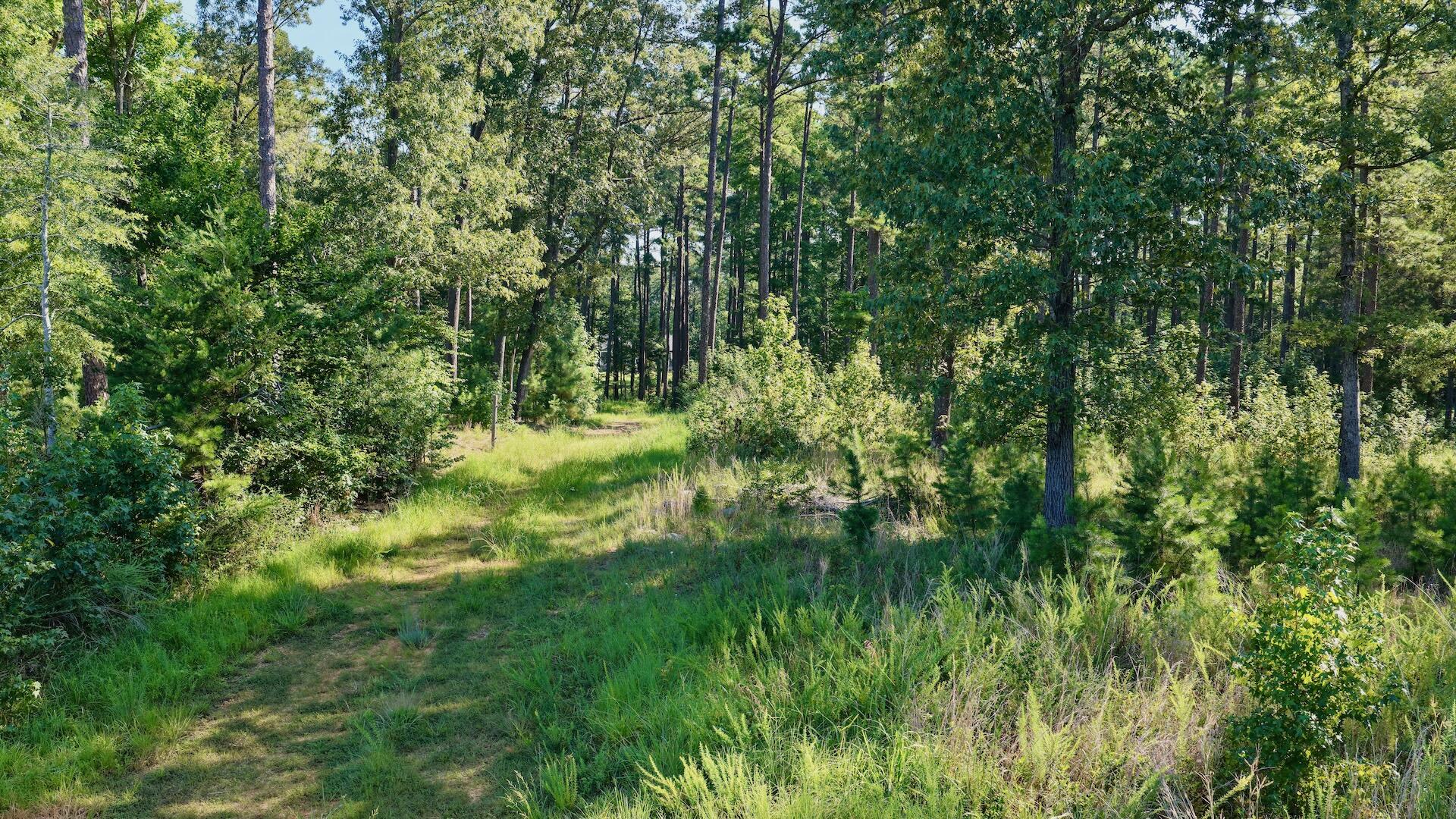 0 Lewis Mill Road Clarksville, VA 23927 - Photo 12 of 50 Clarksville - 10