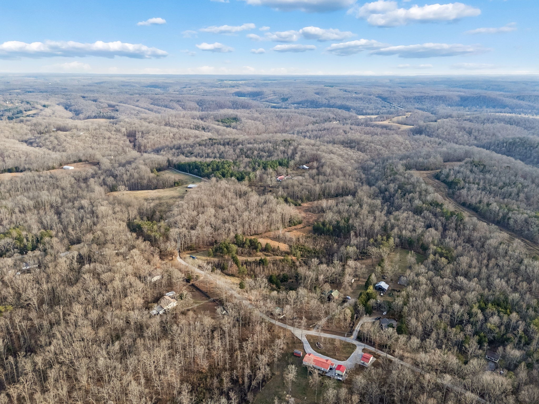 20151 Ben Fly Road Lyles, TN 37098 - Photo 79 of 99