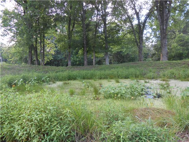 7796 Daugherty-Capley Road Bon Aqua, TN 37025 - Photo 15 of 18